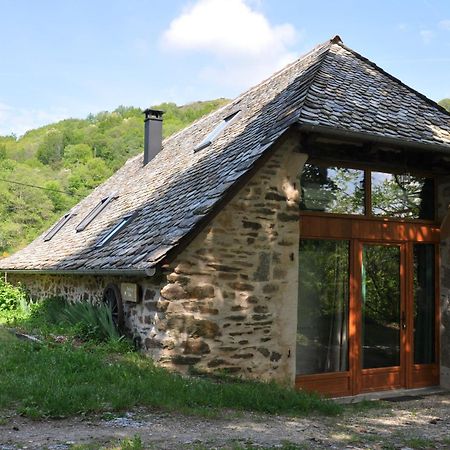 Gite Le Couderc De Coubisou, Grange Renovee Extérieur photo